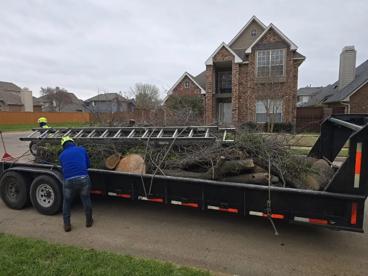 Expert Tree Fertilization with proper safety equipment in Litchfield